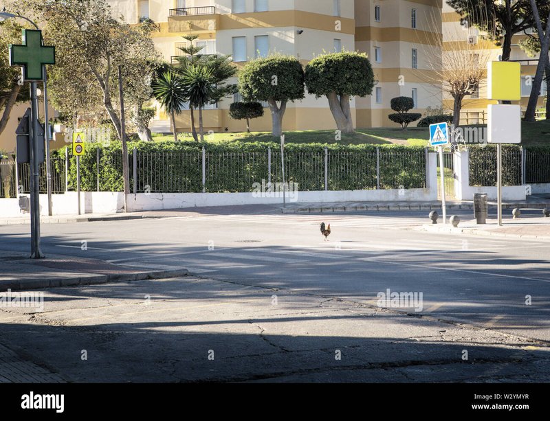 Image: Découvrez les Nouvelles Aventures de Chicken Road 2 en Ligne en France Image: Découvrez les Nouvelles Aventures de Chicken Road 2 en Ligne en France