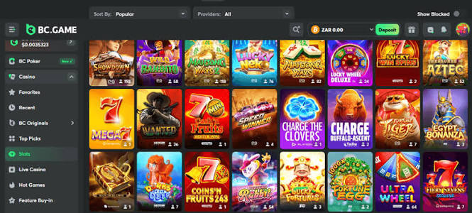 Exploring Payment Options on BC.Game A Comprehensive Guide