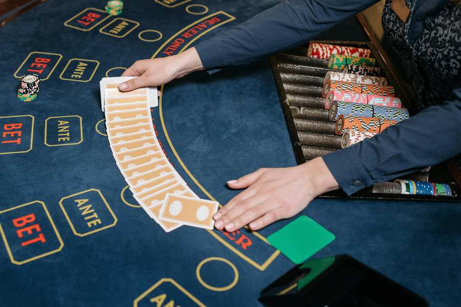 https://iwild-casinoie.com https://iwild-casinoie.com